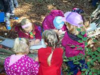 (157 von 243) : KIGA Hausen Waldwoche